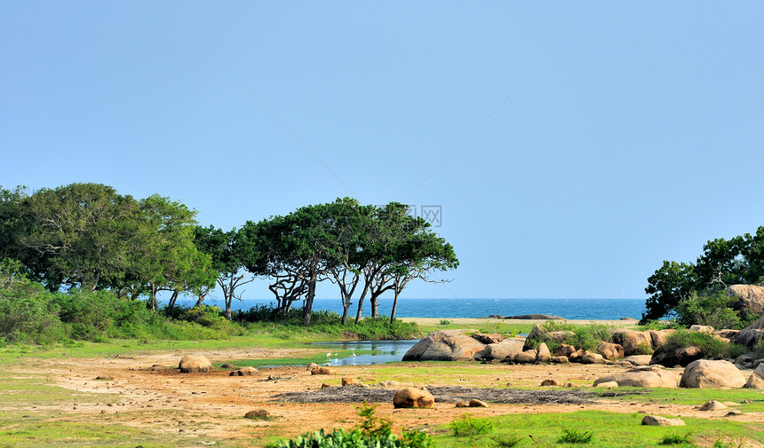 斯里兰卡亚拉公园的海景图片