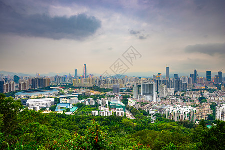 深圳黄昏的城市天际线背景图片