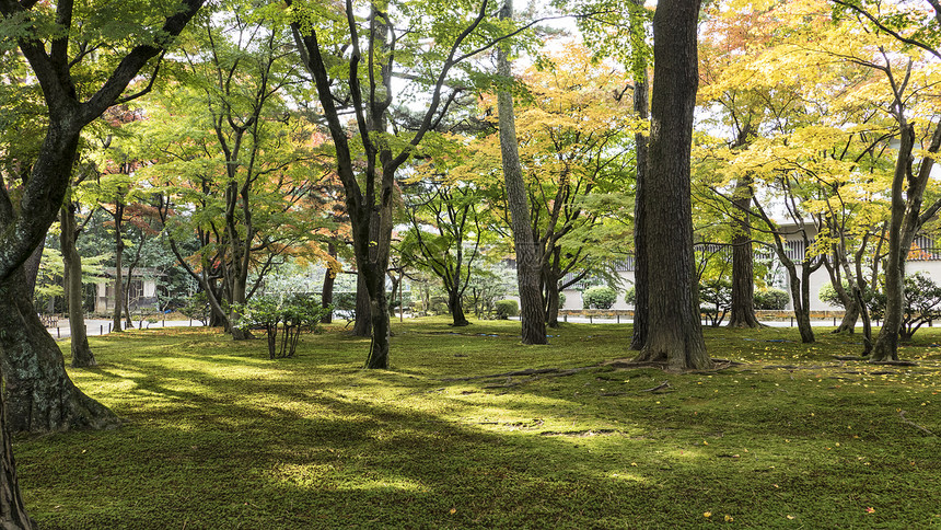 在金泽Kenrokuen花园的Kansumigaike图片