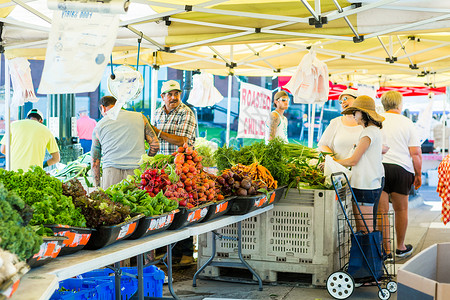 美国科罗拉多州帕克2015年7月26日城市夏季农民市场背景图片