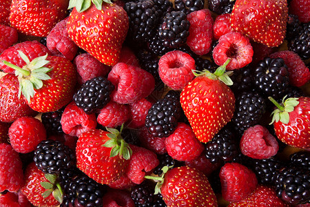 草莓覆盆子黑莓背景图片