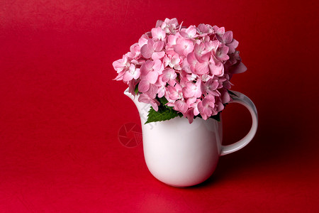 静物与甜绣球花在红色背景上的白色花瓶图片