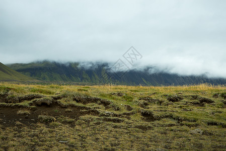 冰岛的野生草原和山脉图片