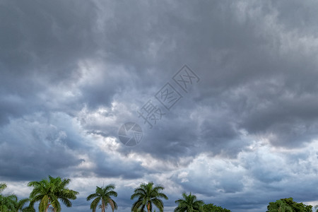 暴风雨在佛罗里达图片