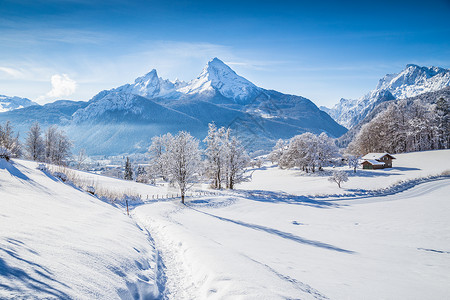 美丽的冬季风景在阿尔卑斯山脉的树木和山顶阳光明媚的一天图片