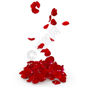 黑红玫瑰在地板上飞着图片