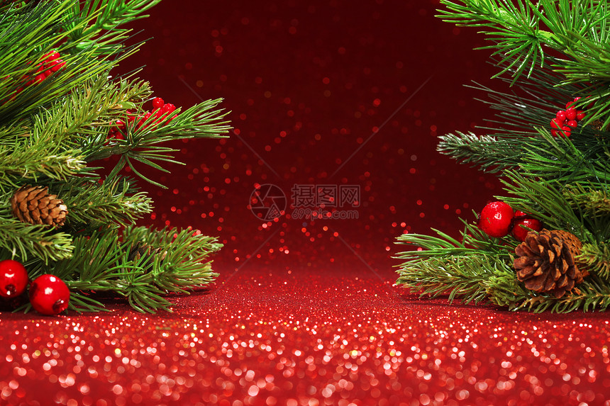 圣诞树枝红色的图片