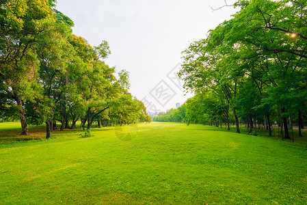 有绿草场的城市公园在中心城市图片