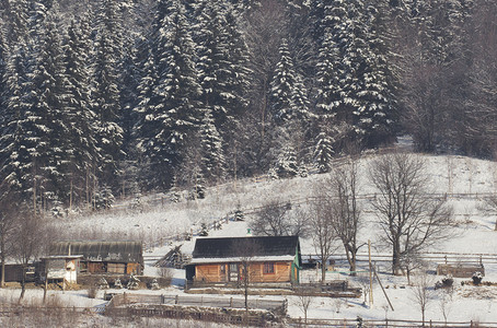冬季山村全景乌克兰喀尔巴阡山省图片