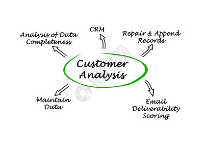 客户分析图图片