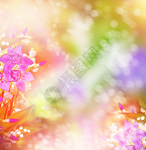 春天风景与铃兰花卉背景图片