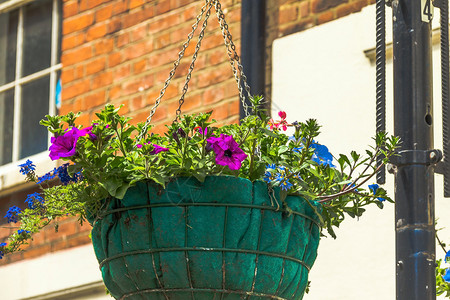 英国温莎镇灯柱上的一篮鲜花图片