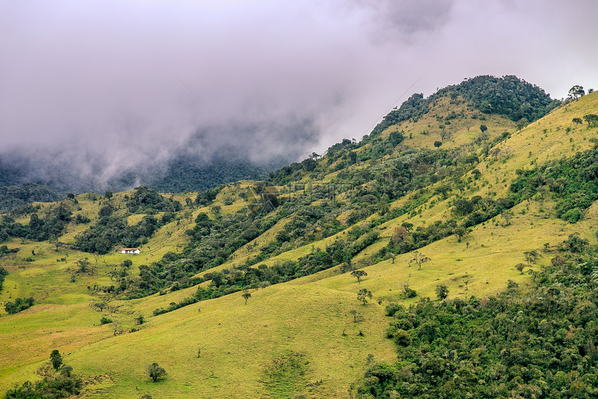 山上的房子山上的绿林科伦比亚图片