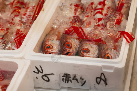 日本筑地鱼市场背景图片