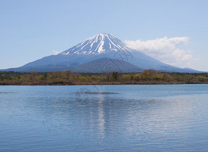 春天的富士山和精进湖图片