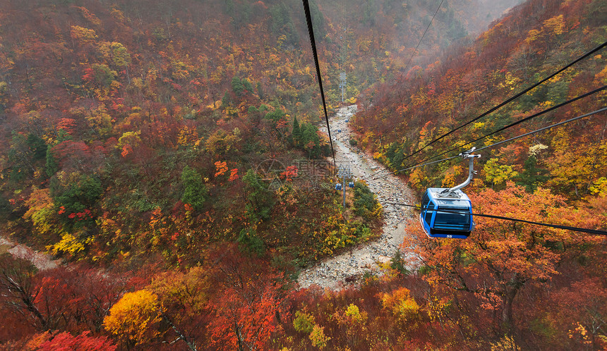 日本秋天林山之上的有线汽车图片图片