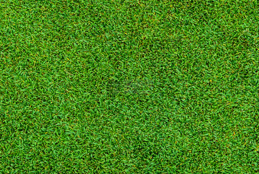 高尔夫球绿色草模式的背图片