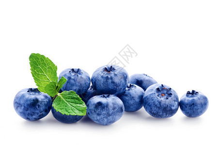 新鲜蓝莓白色背景上的薄荷绿叶背景图片