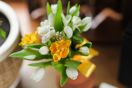 郁金香花束上结婚戒指的特写春天的黄色和白色郁金香图片