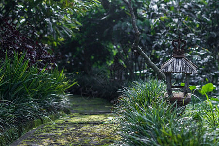 印度尼西亚老花园中的老式木灯图片
