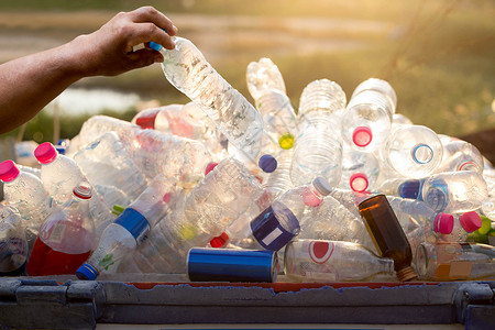 手将可回收塑料瓶装在垃圾箱图片