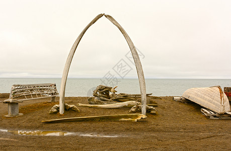阿拉斯加一个土著捕鲸村巴罗图片