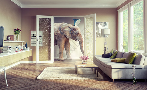 大象走在公寓房间背景图片