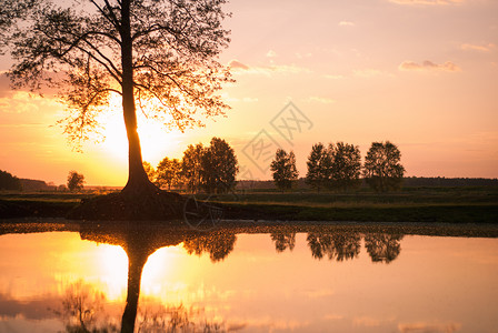 湖边的日落湖岸上三平方水图片