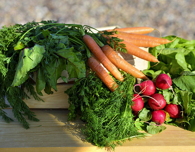 篮子中的春蔬菜萝卜图片