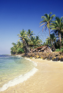 在Asien斯里兰卡西海岸Hikaduw图片