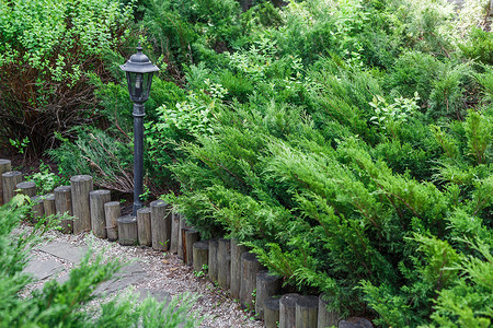 美丽的景观设计带公园灯的花园小径木栅栏常绿灌木和阳光下的灌木现代园林夏季花背景