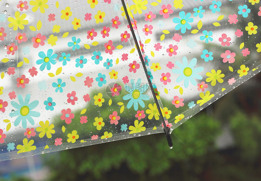 雨滴落在花伞上气候恶劣冬季或保图片
