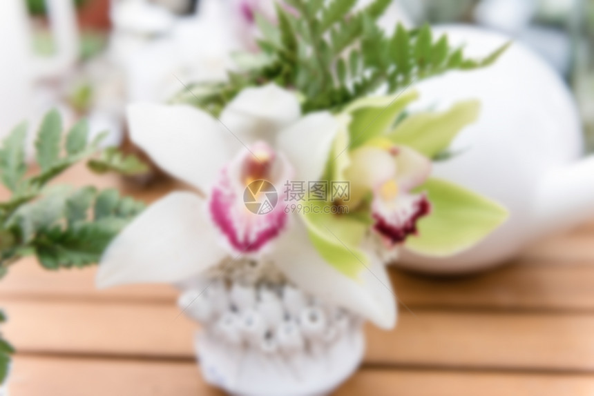 美丽的白卤蛋白兰花的不集中背景图片