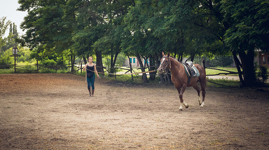 年轻女孩骑马在竞技场赛马骑马友谊信任和伙图片