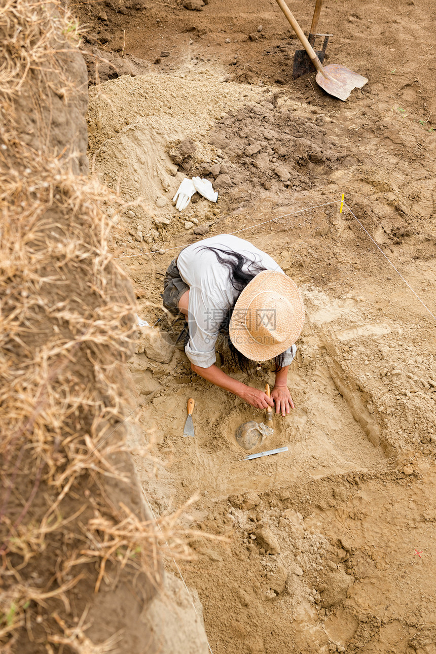 考古学家从古墓中发现人类遗骸图片