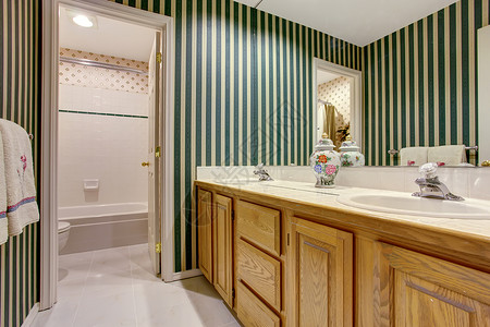 漂亮的浴室内绿色音调有柜子双水图片