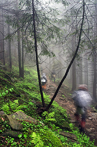 CampForest冒险旅行图片