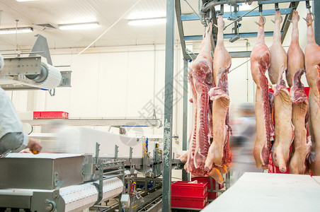 内地肉类工业屠宰场香肠和其他肉制品生图片