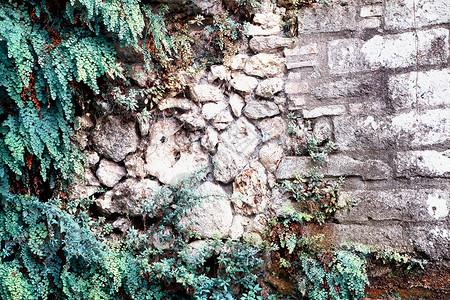 旧石墙照片图片