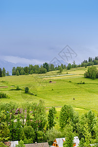 春草场夏山图片