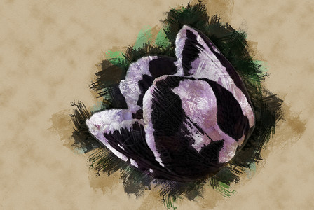 生动的紫郁金香图片