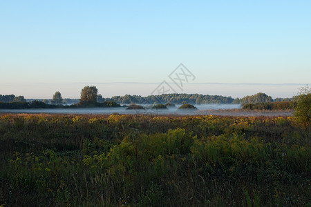 清晨的乡村低洼的雾气掩盖了大地图片