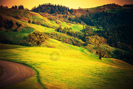北加州景观美国加利福尼亚州洪堡县尤里卡附近红木地区的夏图片