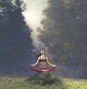 在莲花中冥想的女在森林的岩石上做瑜伽这是图片