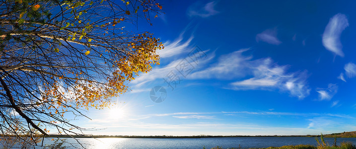 与太阳和黄色叶子的秋天空全景图片