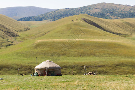 站在外伊犁阿拉套山区蒙古包中的地板图片