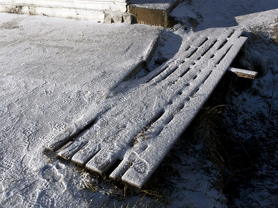 雪地上的古龙吉木图片