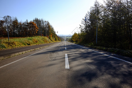 北海道的直路背景图片