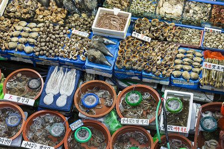 Noryangjin渔业批发市场分布广泛的批发和零售市场图片