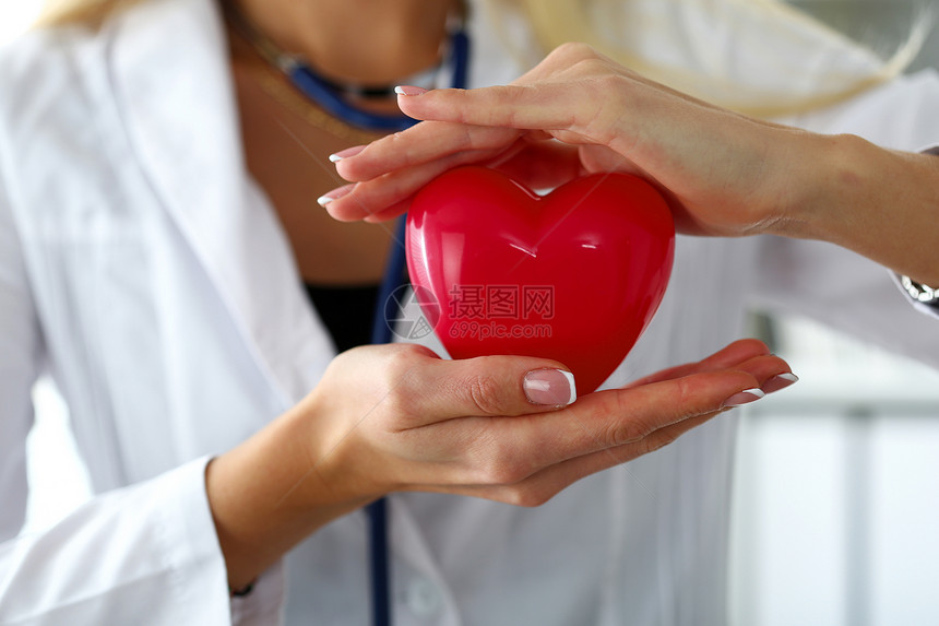 女医学生手拿着和覆盖红色玩具心脏特写心脏治疗师学生教育医生做心脏生理心率测量图片
